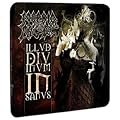 Illud Divinum Insanus
