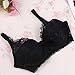 Daxin Women Sexy Underwire Bra Push Up Lace Sheer 32 34 36 38 40B