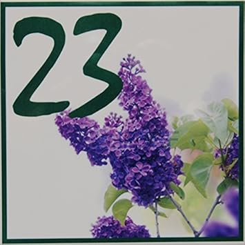 Regali Di Natale Zii.Cosa Regalare A Natale Agli Zii Regali Per Natale Il Sito Per La Scelta Del Regalo Di Natale