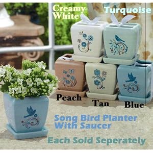 Grasslands Road Melody Ceramic Flower and Herb Planter with Tray