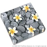 Robert Charles Frangipani and Rocks Cocktail Napkins, 20 Count