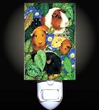 Guinea Pigs Decorative Night Light