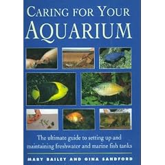 Caring for Your Aquarium