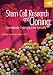 Stem Cell Research and Cloning: Contemporary Challenges to Our Humanity (Interface: a Forum for Theology in the Word) (Interface: A Forum for Theology ... A Forum for Theology in the World)