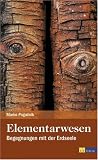 Marko Pogacnik “Elementarwesen”