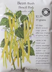 Bush Bean Pencil Pod Yellow Wax Snap Heirloom Seeds 60 Seeds