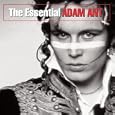 The Essential Adam Ant