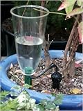 Outdoor Living : IRISO WINDOW BOX WATERING KIT