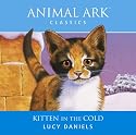 Kitten in the Cold (Animal Ark)