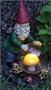 E-V Mystic Solar Gnome In Full Color