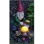 E-V Mystic Solar Gnome In Full Color