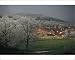Photographic Prints of View of village of Chailly with frost covered trees, Bourgogne, France, Europe from Robert Harding