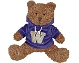 Champion Treasures NCAA Washington Huskies Hoodie Bear