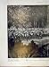 Ascot Tattoo Aldershot Brass Bands Government House