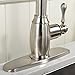 VCCUCINE Best Antique Commercial Stainless Steel Brushed Nickel Single Handle Pull Down Kitchen Sink Faucet, Pull Out Sprayer Kitchen Faucet