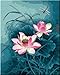 Diy oil painting, paint by number kit- Dragonfly And Lotus 16*20 inch.