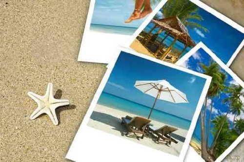 Wallmonkeys Peel and Stick Wall Decals - Pics - 24