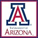 Turner Arizona Wildcats Paper Cube (8080065)