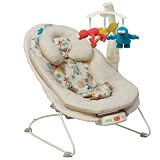 Sesame Street Tender Vibes Bouncer by Sesame Street