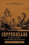 Copperheads : The Rise and Fall of Lincolns Opponents in the North