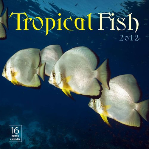 2012 Tropical Fish Wall calendar