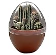 Micro-Terrariums-Dusty Dese