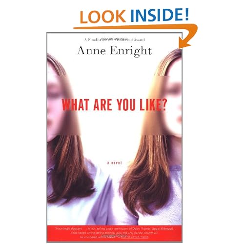 What Are You Like?: A Novel