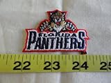 Florida Panthers Patch