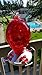 Hummingbird Feeder by Grateful Gnome - Large Hand Blown Stained Glass Feeder for Garden, Patio, Outdoors, Window with Accessories S-Hook, Ant Moat, Brush - 20 fl oz, Red Egg Design