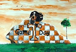 Tennessee Painting - What Is Written On The Rock Stays On The Rock