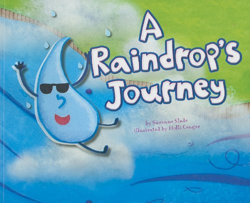 A Raindrop's Journey (Follow It!)