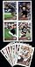 2011 Topps Cleveland Browns Complete Team Set of 13 cards including McCoy, Peyton Hillis, Taylor RC, Little RC, Cameron RC, Sheard RC and more!