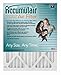 20x22x1 (19.5 x 21.5) Accumulair Emerald 1-Inch Filter (MERV 6) (4 Pack)  : image