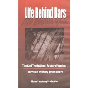 Life Behind Bars: The Sad Truth About Factory Farming
