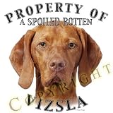 Vizsla Mousepad Dog Mouse Pad 