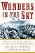 Wonders in the Sky: Unexplained Aerial Objects from Antiquity to Modern Times
