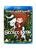 The Secret of Kells [Edizione: Regno Unito]