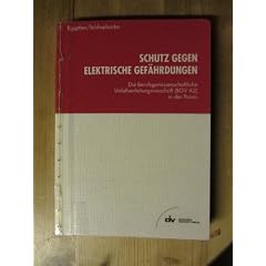 Schutz gegen elektrische Gef�hrdungen. Die berufsgenossenschaftliche Unfallverh�tungsvorschrift (BGV A2) in der Praxis