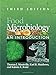 Food Microbiology: An Introduction