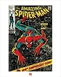 The Amazing Spider-Man - Comic Poster / Art Print (Comic Cover) (Size: 16" x 20")