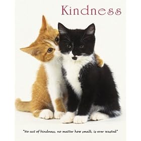 Kindness Cute Kitten Cat Animal Motivational Poster 16 x 20 inches