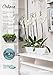 Santino Self Watering Planter CALIPSO Oval Shape L 9.4 Inch x H 5.1 Inch Cream/White Indoor Flower Pot for All House Plants, Flowers, Orchids