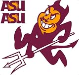 Team Logo, Large Format, Removable