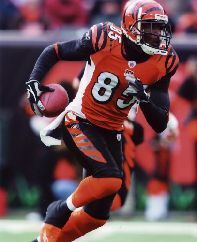 CHAD OCHO CINCO JOHNSON CINCINNATI BENGALS 8X10 SPORTS ACTION PHOTO (A)