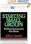 Starting Small Groups: Building Communities That Matter (Leadership Insight Series)