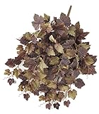 asca 造花 グレープリーフブッシュ 全長51cm パープルグリーン A-42061-007G