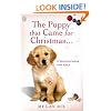 The Puppy that Came for Christmas and Stayed Forever