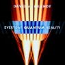 Everyday Quantum Reality