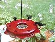 Birds Choice Hummerfest Hummingbird Feeder, 12 Ounce