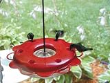 Birds Choice Hummerfest Hummingbird Feeder, 12 Ounce